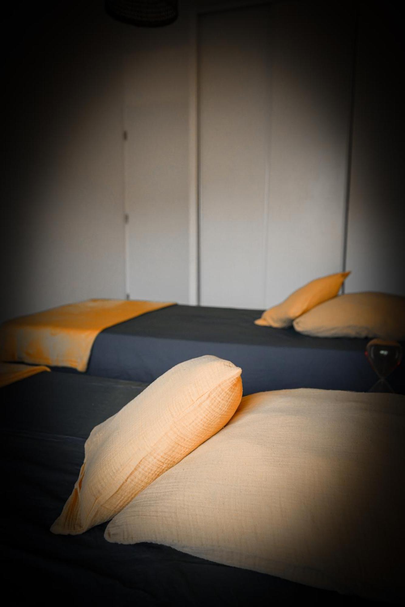Bel Appartement Climatise & Parking Perpignan Exteriér fotografie